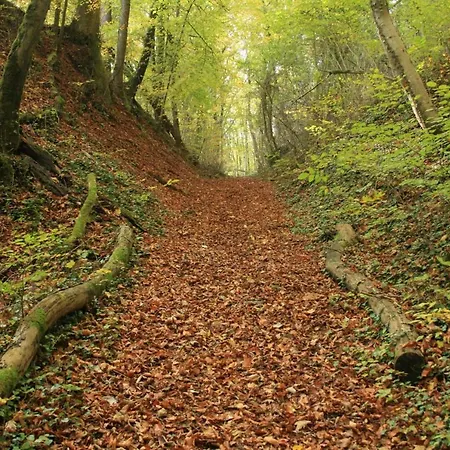 Le Ciel Bleu Bed & Breakfast *