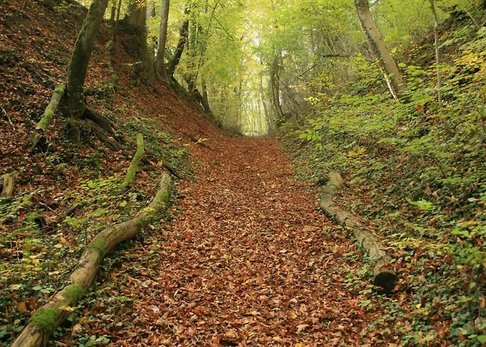 Le Ciel Bleu ベッド・アンド・ブレックファスト *